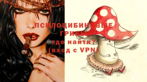 дживик Аркадак